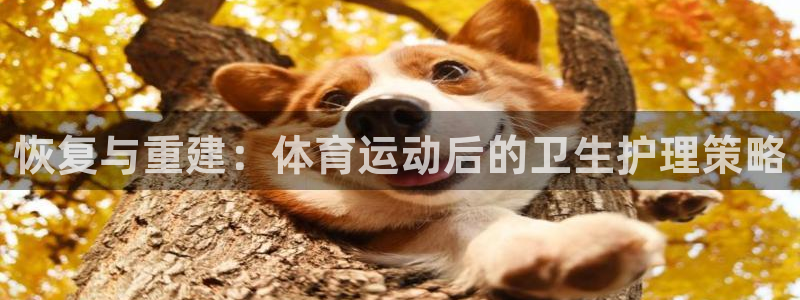 熊猫体育app官方下载最新版：恢复与重建：体育运动后的卫生护理策略