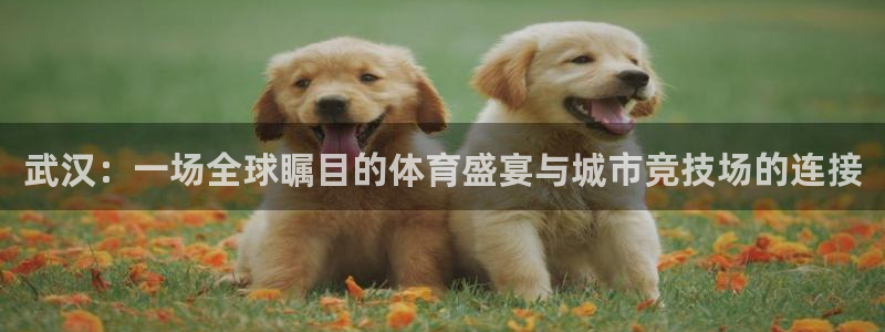 熊猫体育在线：武汉：一场全球瞩目的体育盛宴与城市竞技场的连接