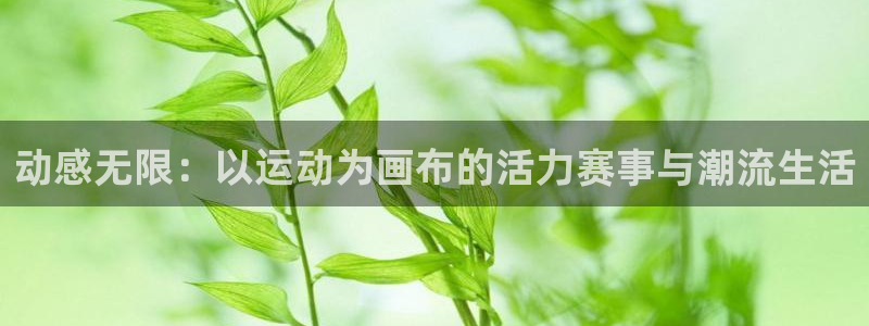 熊猫体育文化有限公司：动感无限：以运动为画布的活力赛事与潮流生活