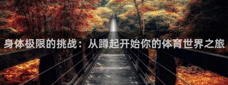 熊猫体育比赛直播：身体极限的挑战：从蹲起开始你的体育世界之旅