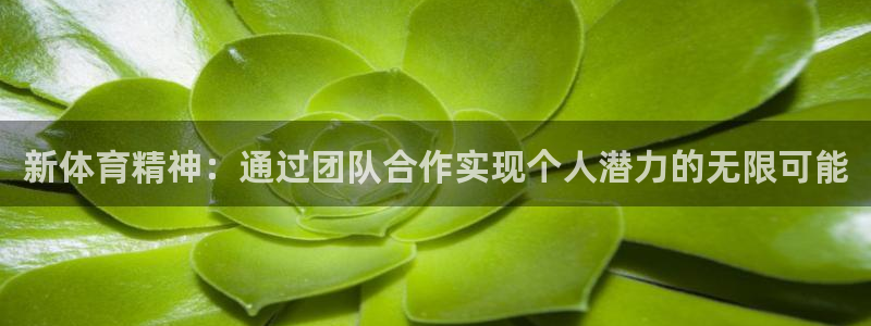 181熊猫体育：新体育精神：通过团队合作实现个人潜力的无限可能