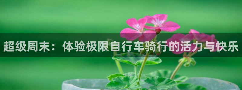 熊猫体育官网首页入口：超级周末：体验极限自行车骑行的活力与快乐