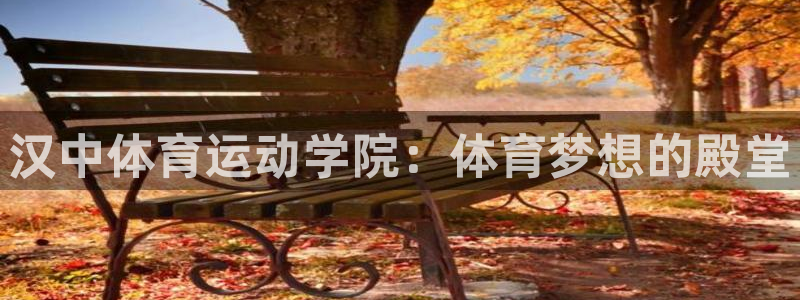 中山熊猫体育：汉中体育运动学院：体育梦想的殿堂