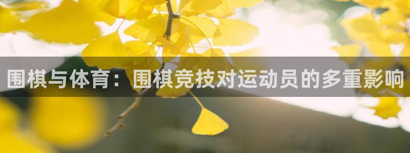 熊猫体育nba：围棋与体育：围棋竞技对运动员的多重影响