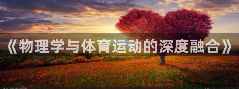 熊猫体育sports：《物理学与体育运动的深度融合》