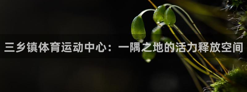 成都熊猫体育公园：三乡镇体育运动中心：一隅之地的活力释放空间