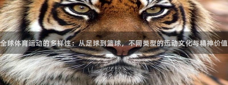 熊猫体育app官方入口：全球体育运动的多样性：从足球到篮球，不同类型的运动文化与精神价值