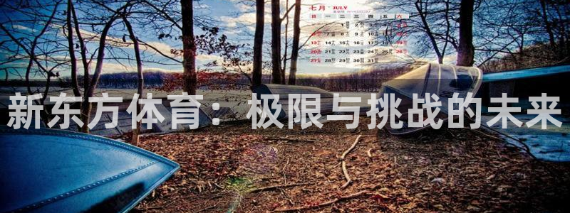 熊猫体育文化有限公司：新东方体育：极限与挑战的未来